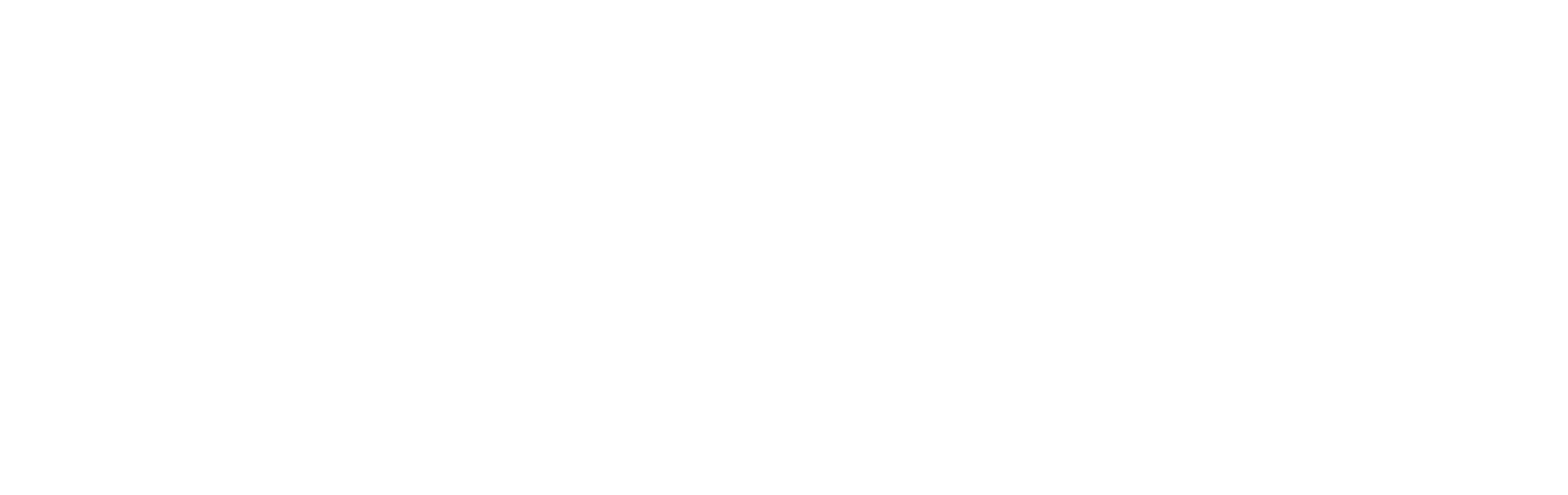 transparent-logo