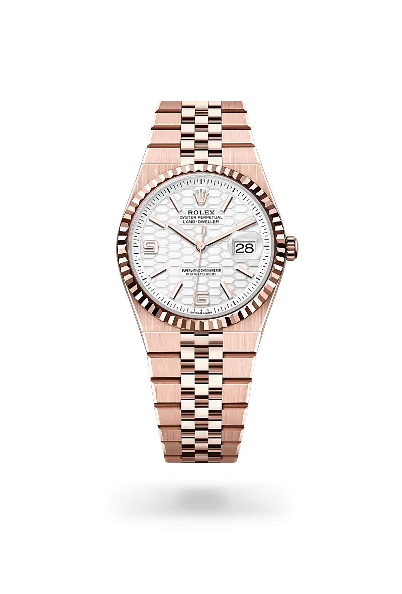 Rolex Land-Dweller Oyster, 36 mm, Everose-Gold - M127235-0001 at Huber Fine Watches & Jewellery