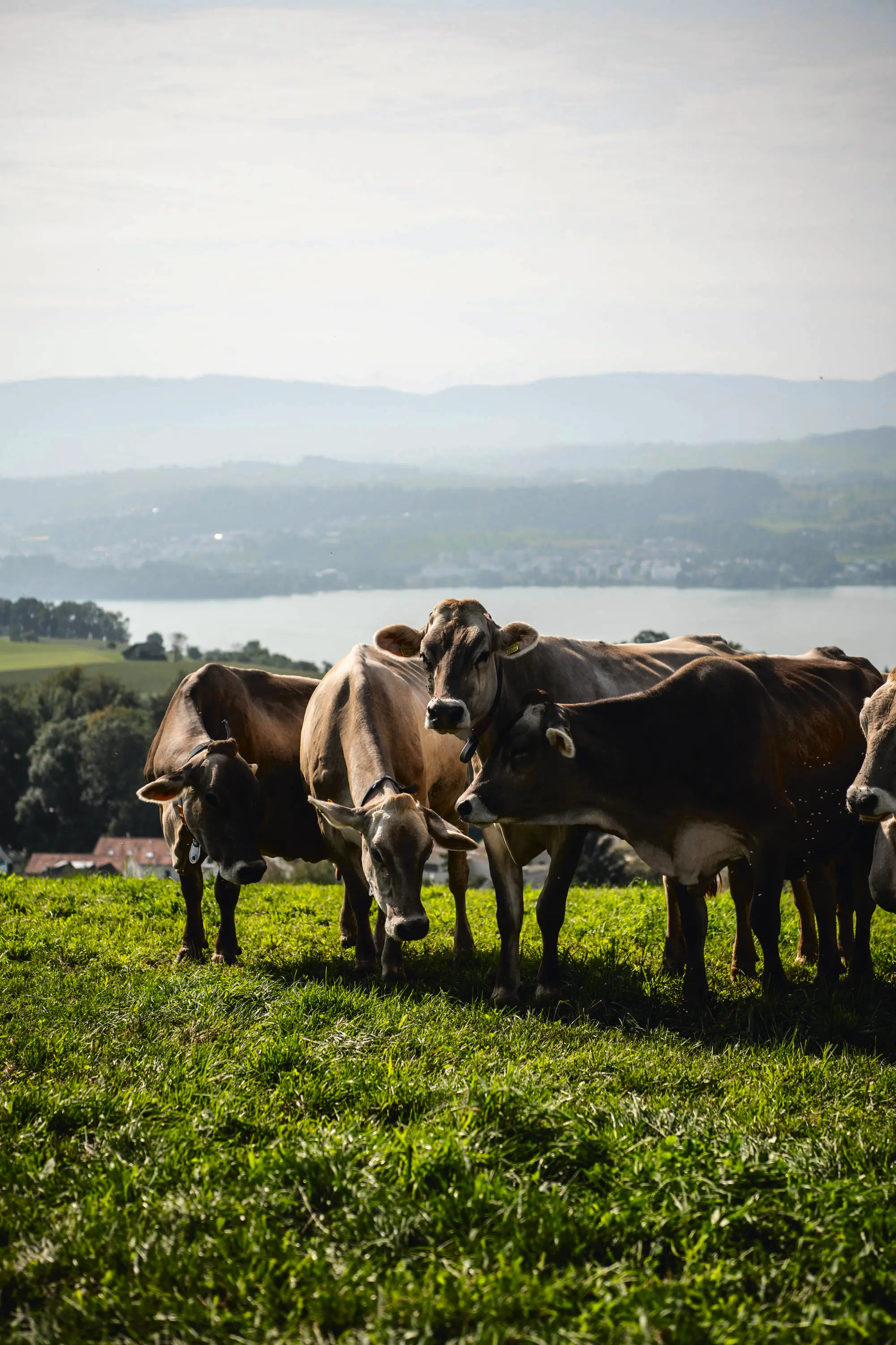 Luxus im Einklang mit der Natur 