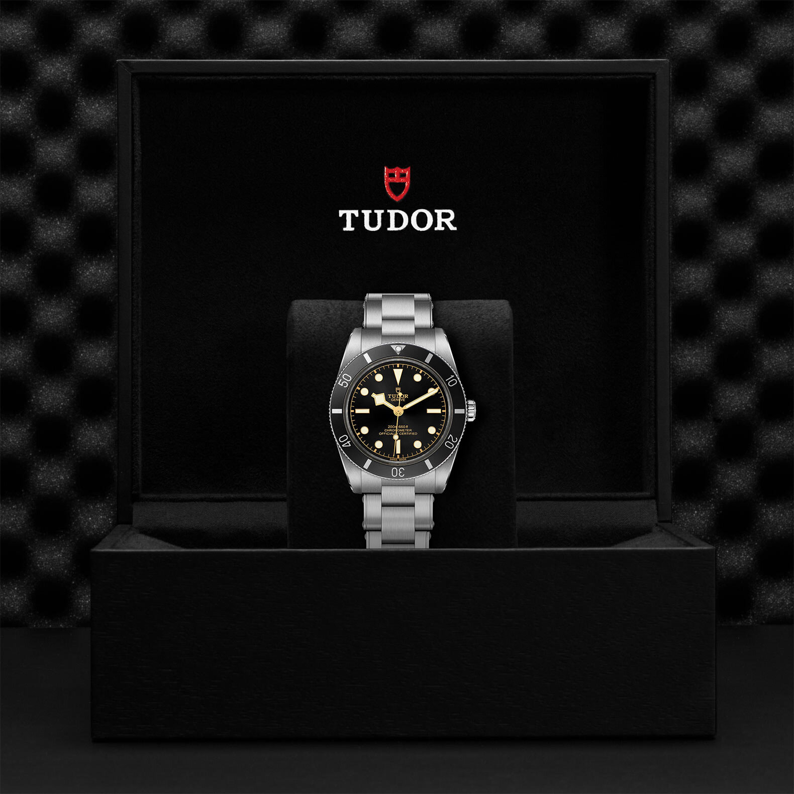 TUDOR Black Bay 54