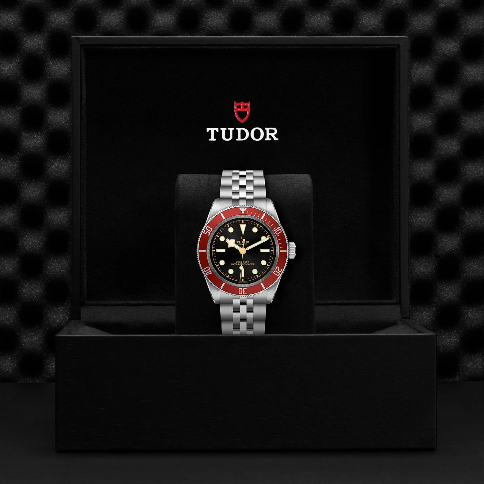 TUDOR Black Bay